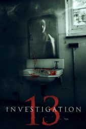 Investigation 13 (2019)