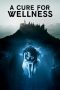 A Cure for Wellness (2016)