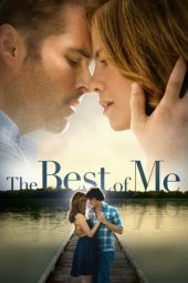 The Best of Me (2014)