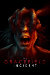 The Gracefield Incident (2017)