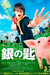 Silver Spoon (2014)