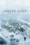 Winter Sleep (Kis Uykusu) (2014)