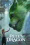 Pete's Dragon (2016)