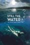 Still the Water (Futatsume no mado) (2014)