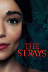 The Strays (2023)