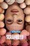 Scrambled (2023) Sub