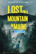 Lost on a Mountain in Maine (2024) Sub